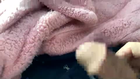 Snapshot of dannyboy621 chatting on November 10, 2025, 2:16 pm dannyboy621 online show from November 10, 2025, 2:16 pm