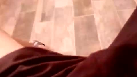 dario1127 online show from December 15, 2025, 6:45 pm