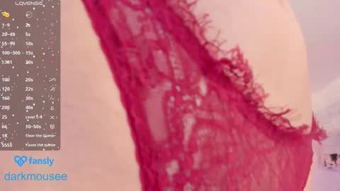 Snapshot of darkmousee chatting on December 3, 2025, 1:20 pm Grace online show from December 3, 2025, 1:20 pm