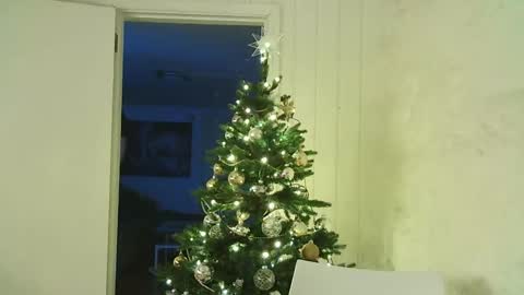 Snapshot of dartanjanas chatting on December 25, 2024, 7:56 pm Dario online show from December 25, 2024, 7:56 pm