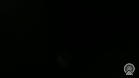 daveeveline online show from November 11, 2025, 12:38 pm