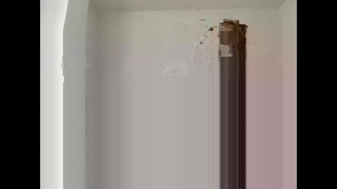 davepil29 online show from November 15, 2025, 10:56 am