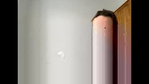 davepil29 online show from December 21, 2025, 10:44 am