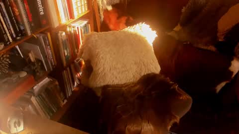 David online show from January 15, 2025, 11:10 am