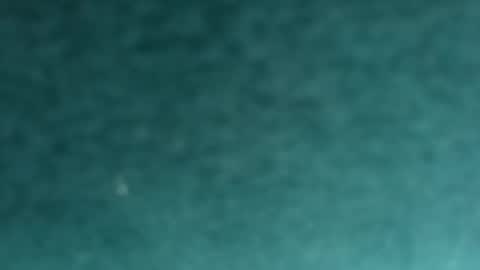 Snapshot of davidf75 chatting on November 12, 2025, 9:42 am davidf75 online show from November 12, 2025, 9:42 am