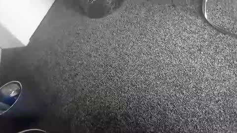 Snapshot of davidf75 chatting on November 17, 2025, 10:43 am davidf75 online show from November 17, 2025, 10:43 am