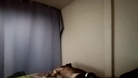 Snapshot of davidjose1995 chatting on December 11, 2024, 4:18 am Juice cock online show from December 11, 2024, 4:18 am