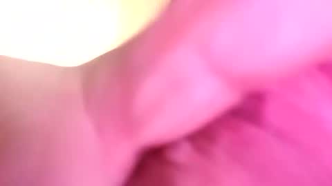 dazzaboxer online show from November 16, 2025, 1:44 am