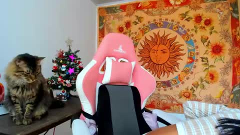 Snapshot of demeter__ chatting on December 11, 2024, 4:53 pm demeter__ online show from December 11, 2024, 4:53 pm