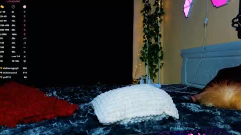 Demmi online show from February 15, 2025, 12:48 am