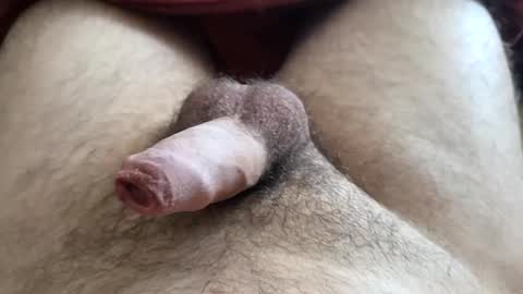 Snapshot of denis647 chatting on December 1, 2025, 3:17 pm LilRoach online show from December 1, 2025, 3:17 pm