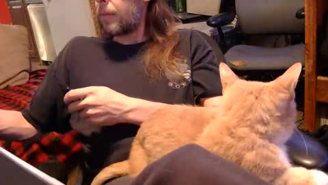 Snapshot of desolation2012 chatting on November 1, 2025, 4:58 am desolation2012 online show from November 1, 2025, 4:58 am