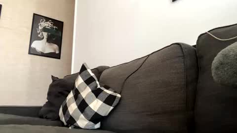 Dhalia online show from November 3, 2025, 12:17 pm