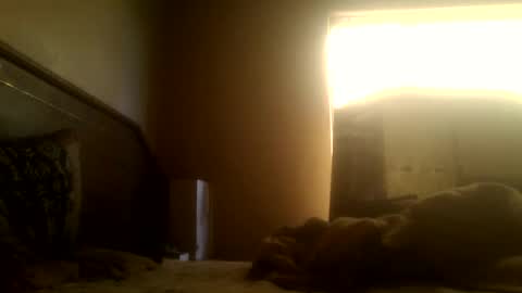 Snapshot of dickdaxxx chatting on March 2, 2025, 8:16 am dickdaxxx online show from March 2, 2025, 8:16 am