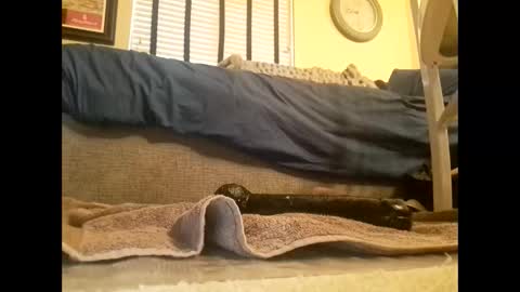 dildosnme22 online show from March 10, 2025, 6:45 pm