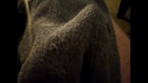 Dilf online show from January 16, 2025, 6:35 am