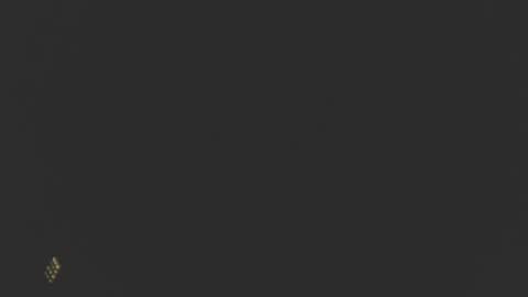 Snapshot of dinchtcams chatting on February 24, 2025, 10:04 am Dincht online show from February 24, 2025, 10:04 am