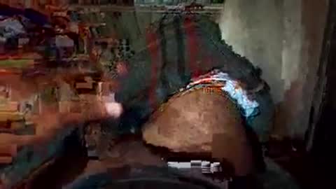 dyno online show from November 22, 2025, 2:10 am