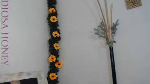 Snapshot of diosa_honey chatting on January 29, 2025, 8:46 pm Diosa online show from January 29, 2025, 8:46 pm