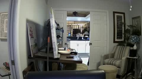 DirtkPitt Fun guy working online show from January 4, 2025, 2:35 am