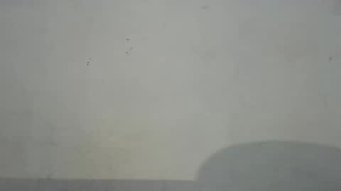 Snapshot of dirtiplay chatting on February 5, 2025, 1:37 am dirtiplay online show from February 5, 2025, 1:37 am