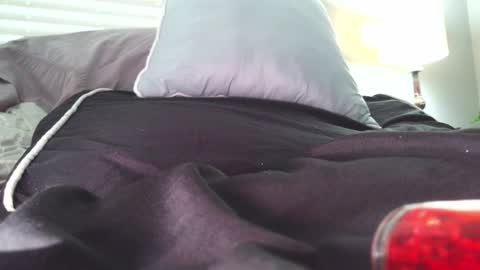 Snapshot of dirtydaisy1998 chatting on December 6, 2024, 1:44 pm Daisy Wylde online show from December 6, 2024, 1:44 pm