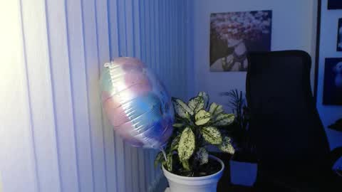 Hera online show from November 8, 2025, 10:04 am