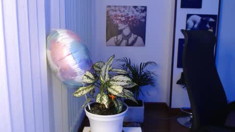 Hera online show from November 28, 2025, 10:07 am