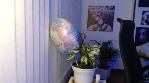 Hera online show from December 17, 2025, 10:10 am