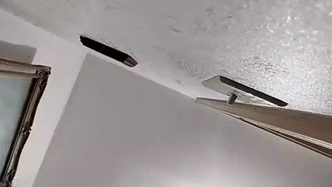 dixonbird41 online show from February 11, 2025, 2:46 am