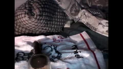 djangodave569829 online show from October 4, 2025, 11:25 pm