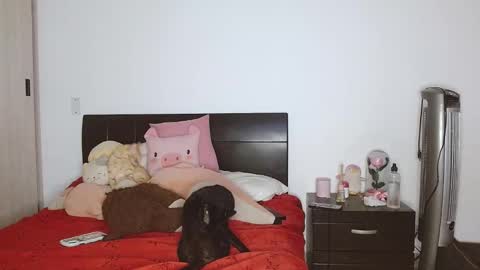 Auro and Santiago online show from February 24, 2025, 3:55 am