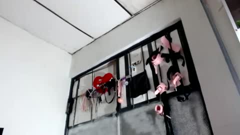 Snapshot of doll_sary chatting on January 23, 2025, 12:41 pm Catherine XXX online show from January 23, 2025, 12:41 pm