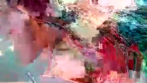 Snapshot of dolly_joana chatting on November 10, 2025, 12:26 pm dolly_joana online show from November 10, 2025, 12:26 pm