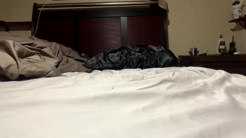 Snapshot of dolphin22356 chatting on January 11, 2025, 6:45 am Ben Dover online show from January 11, 2025, 6:45 am