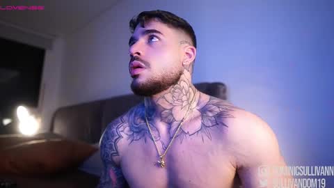 Snapshot of dominic_sullivan1 chatting on November 23, 2025, 1:49 am Dominic Sullivan online show from November 23, 2025, 1:49 am