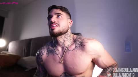 Snapshot of dominic_sullivan1 chatting on November 24, 2025, 2:44 am Dominic Sullivan online show from November 24, 2025, 2:44 am