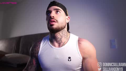 Snapshot of dominic_sullivan1 chatting on December 3, 2025, 2:52 am Dominic Sullivan online show from December 3, 2025, 2:52 am