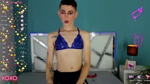 Dominic online show from December 11, 2024, 3:05 pm