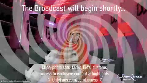 Snapshot of domlioness chatting on October 31, 2025, 11:17 pm DomLioness online show from October 31, 2025, 11:17 pm