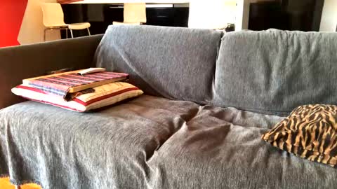 Alfredo online show from February 4, 2025, 10:21 am