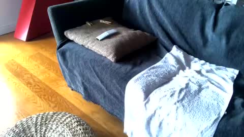 Alfredo online show from February 26, 2025, 9:10 am