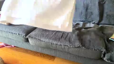 Alfredo online show from September 19, 2025, 11:00 am