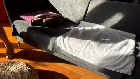 Alfredo online show from December 2, 2025, 11:59 am