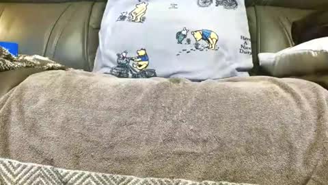 LuvmycockTS69 online show from November 14, 2025, 3:16 am