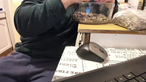 Snapshot of doriancretu95 chatting on January 1, 2025, 12:00 am menu below online show from January 1, 2025, 12:00 am