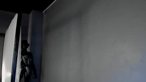 Dorothy Next stream on Monday at 3am-9am online show from March 6, 2025, 12:52 pm