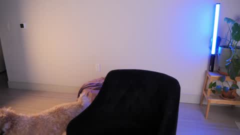 Snapshot of doubedeesarai chatting on October 18, 2025, 2:36 am Sara online show from October 18, 2025, 2:36 am