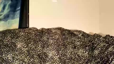 dove_love22 online show from November 30, 2025, 2:15 am