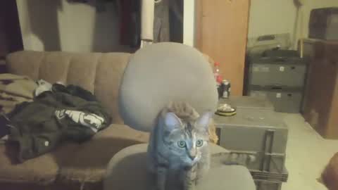 Snapshot of drac2009 chatting on January 28, 2025, 5:11 am drac2009 online show from January 28, 2025, 5:11 am